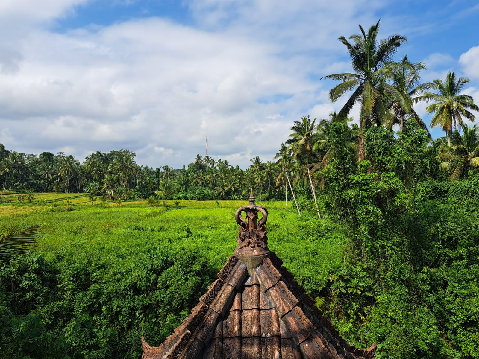 Property for sale in Ubud area Bali Heart Projects